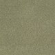 Quiet Comfort IV in Rolling Hills - Carpet by Shaw Flooring