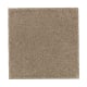 Natural Splendor I in Urban Taupe - Carpet by Mohawk Flooring