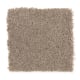 Stylish Story II in Turnstone - Carpet by Mohawk Flooring