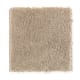Solo in Nutria - Carpet by Mohawk Flooring