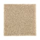 Nature's Appeal II in Raffia Basket - Carpet by Mohawk Flooring