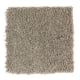 Classic Attraction in Safari Tan - Carpet by Mohawk Flooring