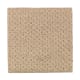 Naturally Elegant in Raffia Basket - Carpet by Mohawk Flooring