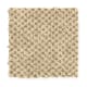 Unification in Aspen Bark - Carpet by Mohawk Flooring