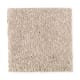 Creative Showcase II in Northern Shore - Carpet by Mohawk Flooring