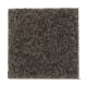 Artful Eye in Dark Forest - Carpet by Mohawk Flooring