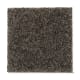 Artful Eye in Dark Forest - Carpet by Mohawk Flooring