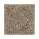 Intelligent Style in Dry Twig - Carpet by Mohawk Flooring