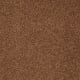 Sandy Hollow I 12' in Dark Amber - Carpet by Shaw Flooring
