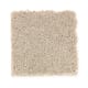 Brookfield Heights in Talc - Carpet by Mohawk Flooring