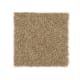 Active Spirit in Leather Bound - Carpet by Mohawk Flooring