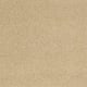 Cashmere II in Vicuna - Carpet by Shaw Flooring