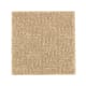 Natural Treasure in Brushed Suede - Carpet by Mohawk Flooring