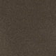 Quiet Comfort IV in Bourbonnais Grey - Carpet by Shaw Flooring