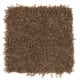 Nearby Beauty in Ginger Jar - Carpet by Mohawk Flooring