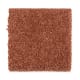 Intelligent Style in Pumpkin Pie - Carpet by Mohawk Flooring