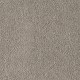 Soft Eloquence in Dragonfly - Carpet by Mohawk Flooring