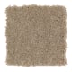 Appealing Endeavor in Frosty Spice - Carpet by Mohawk Flooring