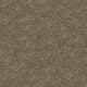 Awaited Bliss in Herb Garden - Carpet by Mohawk Flooring