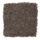 Graceful Glamour in Mineral Brown - Carpet by Mohawk Flooring