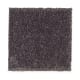 Creative Showcase I in Walnut - Carpet by Mohawk Flooring