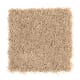 Brilliant Design in Cypress - Carpet by Mohawk Flooring