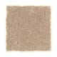 Stylish Story II in Early American - Carpet by Mohawk Flooring