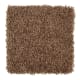 Serene Touch in Ancient Spice - Carpet by Mohawk Flooring
