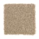Edgewood Estates in Coastal Wind - Carpet by Mohawk Flooring