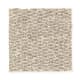 Summer Carnival in Heather Taupe - Carpet by Mohawk Flooring