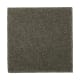 Absolute Elegance II in Pine Needle - Carpet by Mohawk Flooring