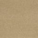 Quiet Comfort IV in Camel - Carpet by Shaw Flooring