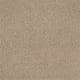 Quiet Comfort IV in Fawn - Carpet by Shaw Flooring