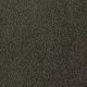 Bright Future in Evergreen - Carpet by Mohawk Flooring