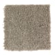 Appealing Endeavor in Safari Tan - Carpet by Mohawk Flooring