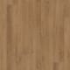 COREtec Plus XL Enhanced in Waddington Oak - Vinyl by USFloors