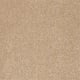 Platinum Texture 12' Net in Spanish Villa - Carpet by Shaw Flooring