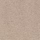 Calming Retreat in Sequoyah Dusk - Carpet by Mohawk Flooring