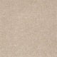 Sandy Hollow I 12' in Stucco - Carpet by Shaw Flooring