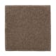 Organic Beauty I in Nutmeg - Carpet by Mohawk Flooring