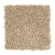 Sea Star in Beach Path - Carpet by Mohawk Flooring