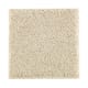 Nature's Appeal II in Soft Linen - Carpet by Mohawk Flooring