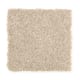 Santorini Style I in Stone Lion - Carpet by Mohawk Flooring