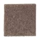 Eternal Allure III in Burnished Brown - Carpet by Mohawk Flooring