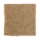 Solo in Rich Gold - Carpet by Mohawk Flooring