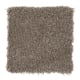 Homefront I Abac Weldlok 15 Ft 00 In in Pecan Bark - Carpet by Mohawk Flooring