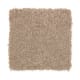 Beautiful Desire II in Dash O'spice - Carpet by Mohawk Flooring