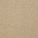 Harborfields III 12' in Silk - Carpet by Shaw Flooring