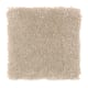 Delightful Cheer in Jute - Carpet by Mohawk Flooring