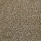 Whisper in Ecru - Carpet by Lexmark Carpet